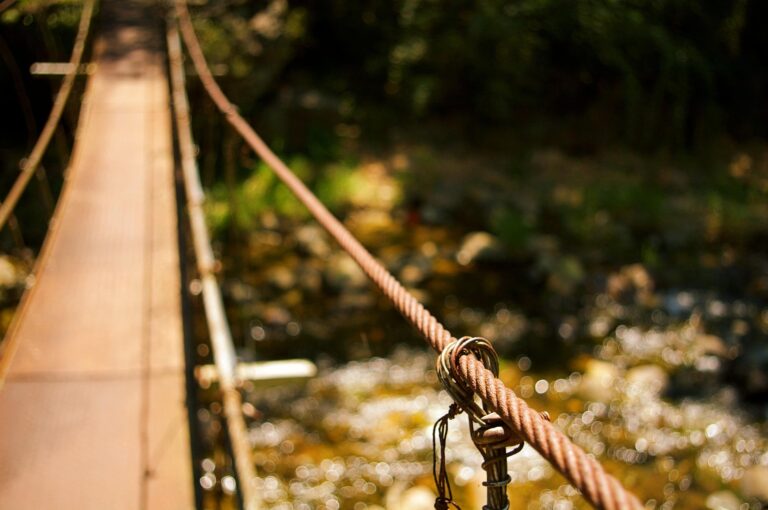 Outplacement trajecten voor werknemer en werkgeven in Zwolle